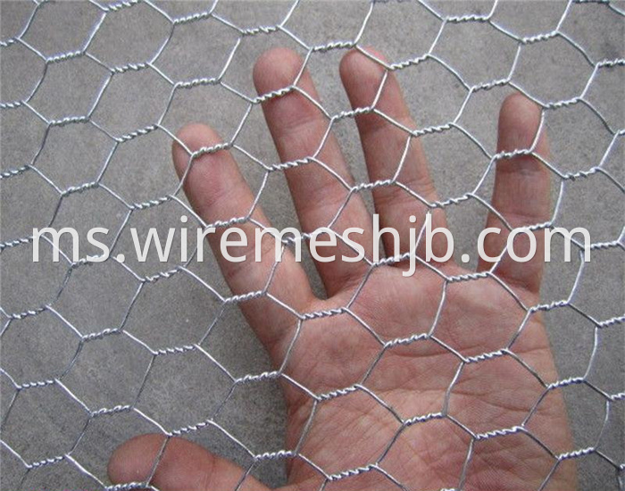 Galvanized Hexagonal Mesh